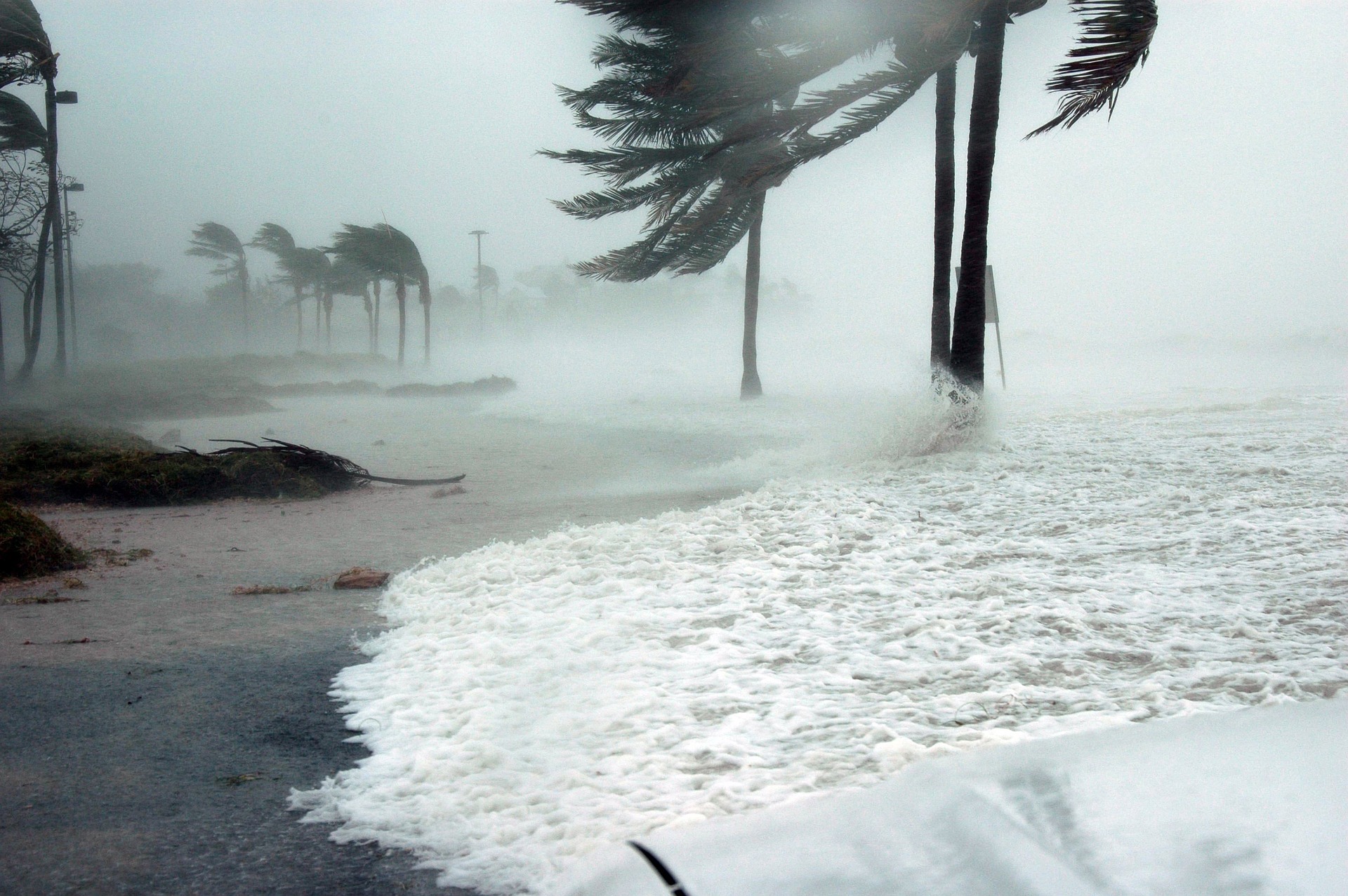 florida public adjuster storm claim